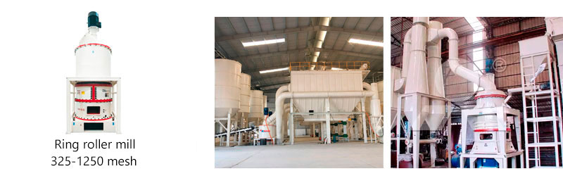 Ring roller mill site